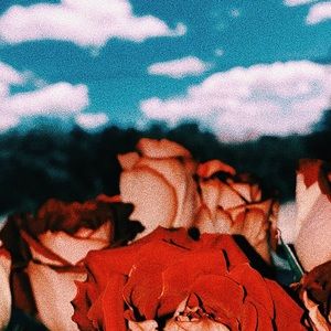 Meet your Posher, Luciana